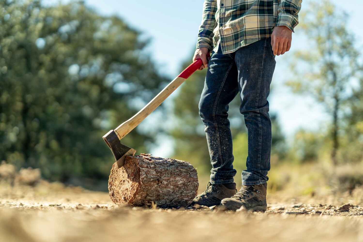 Dead Tree Removal in Ensley, FL